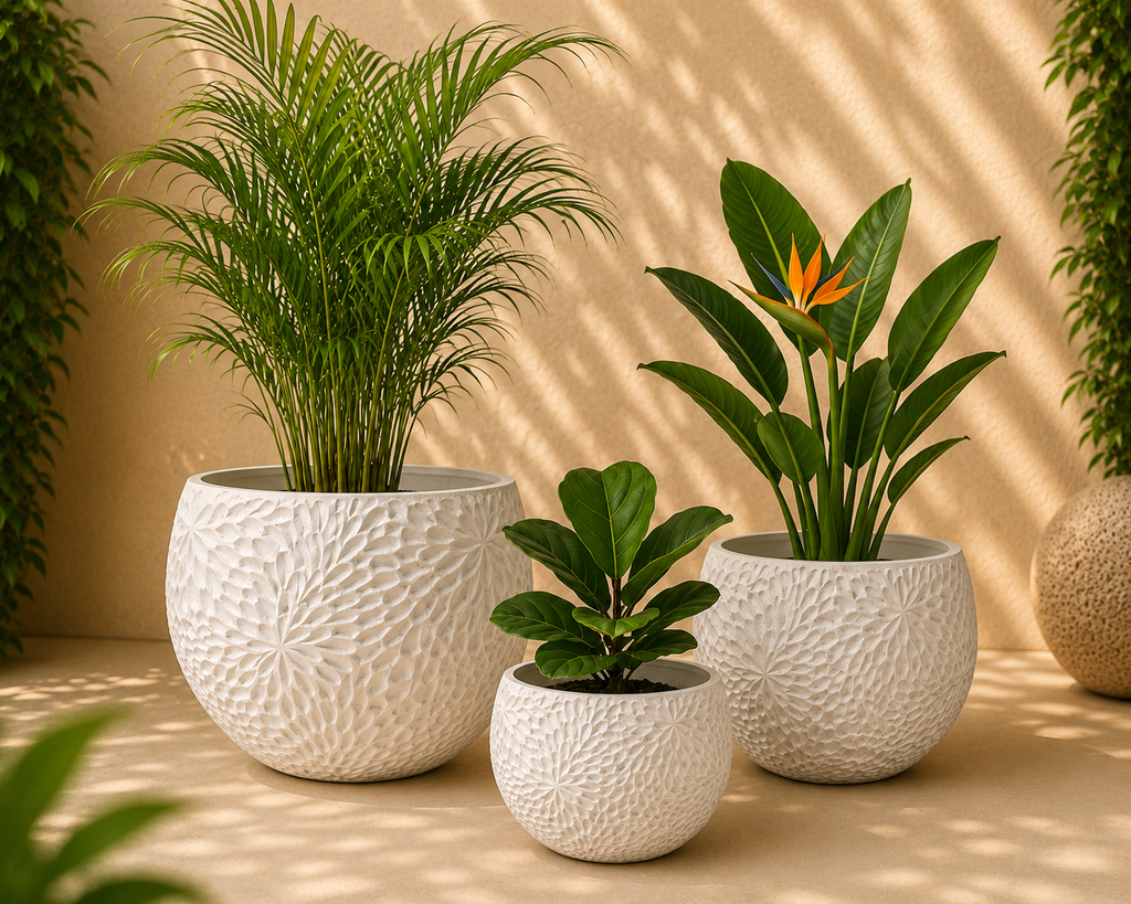 Vazo dekorative premium të bardha me bimë natyrale Areca Palm, Strelitzia dhe Ficus Lyrata, perfekte për dekorimin e shtëpisë, zyrës, restoranteve dhe hoteleve.